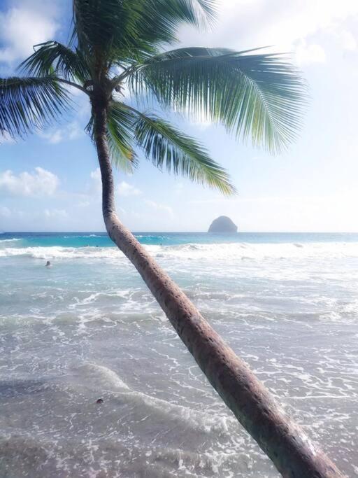 Superbe Studio, A 20 Metres De La Plage, Acces Direct Grande Plage Diamant Le Diamant Eksteriør bilde