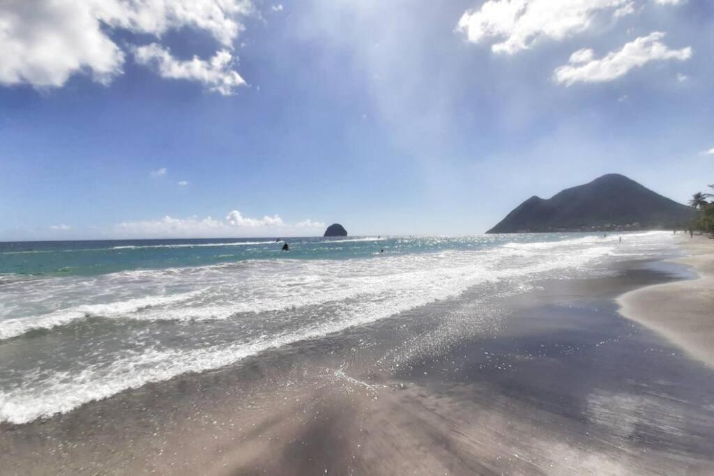 Superbe Studio, A 20 Metres De La Plage, Acces Direct Grande Plage Diamant Le Diamant Eksteriør bilde